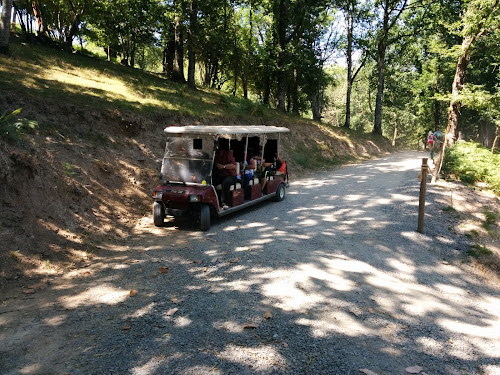 Zoo Parc des félins, les 3 Vallées à Montredon-Labessonnié