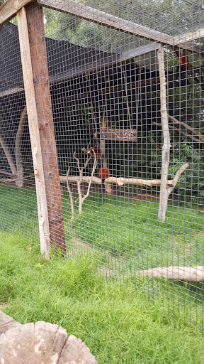 Zoo «Wildlife World Zoo, Aquarium & Safari Park», reviews and photos, 16501 W Northern Ave, Litchfield Park, AZ 85340, USA