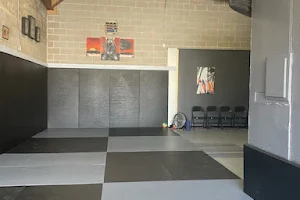 Dalua Brazilian Jiu Jitsu image