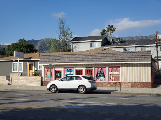 Pet Supply Store «Pet Haven», reviews and photos, 626 N Glenoaks Blvd, Burbank, CA 91502, USA