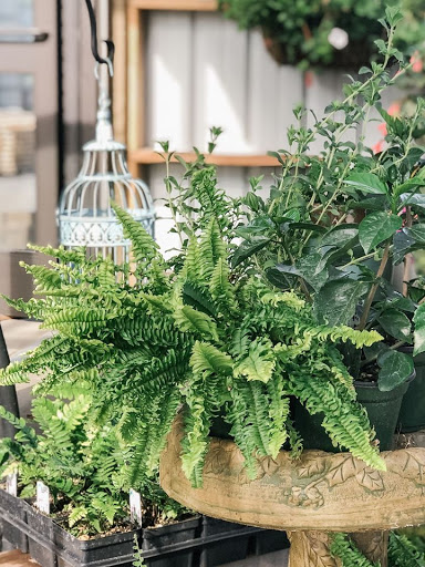 Hardware Store «Economy Supply of Lebanon», reviews and photos, 1055 Tangent St, Lebanon, OR 97355, USA