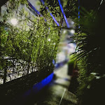 Photo n° 12 de l'avis de A.Taurel.o fait le 02/05/2022 à 22:54 pour Le Tuk Tuk de Saïgon à Torcy