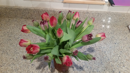 Florist «Bloomingdale Florist», reviews and photos, 827 E Bloomingdale Ave, Brandon, FL 33511, USA