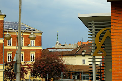 Lévay Sportközpont