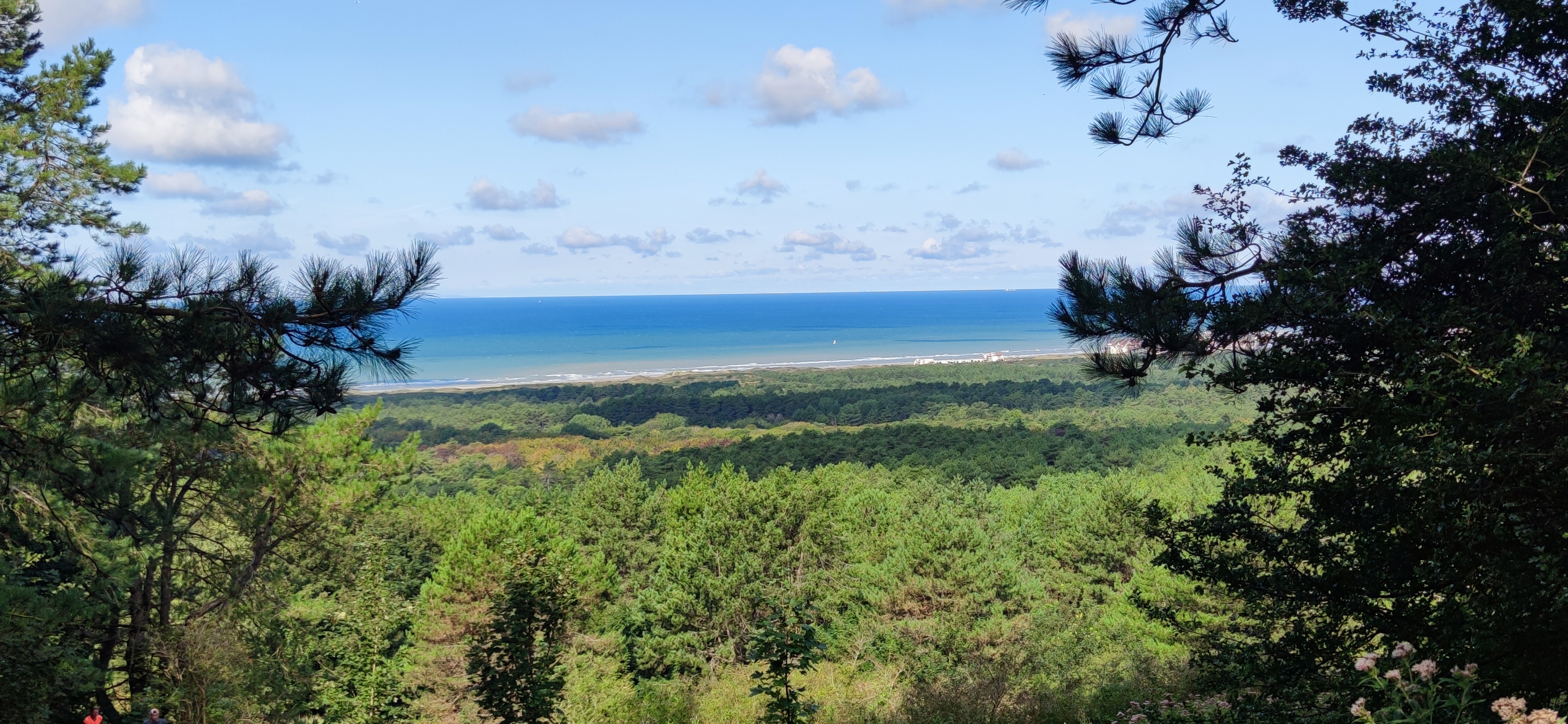 Photo n° 12 de l'avis de François.C fait le 17/09/2023 à 19:36