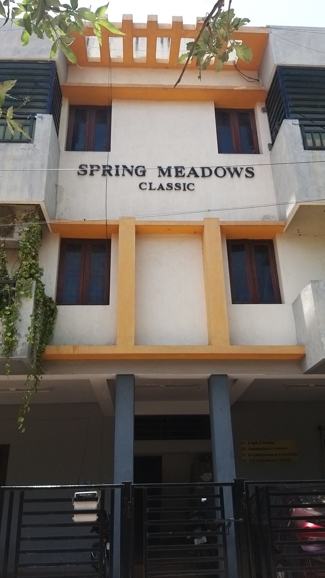 Spring meadows