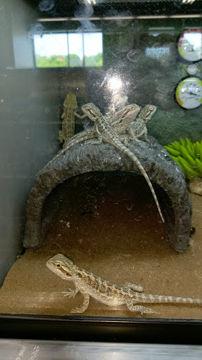 Pet Supply Store «Petco Animal Supplies», reviews and photos, 839 New York Ave, Huntington, NY 11743, USA