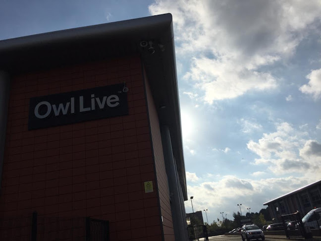 Owl Live - Liverpool