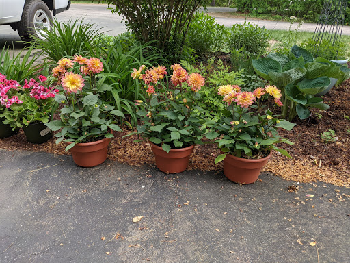 Thrift Store «Exeter Community Thrift Shop», reviews and photos, 96 Epping Rd, Exeter, NH 03833, USA