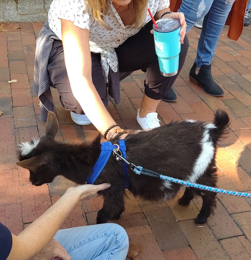 Museum «Dahlonega Gold Museum Historic Site», reviews and photos, 1 Public Square N, Dahlonega, GA 30533, USA