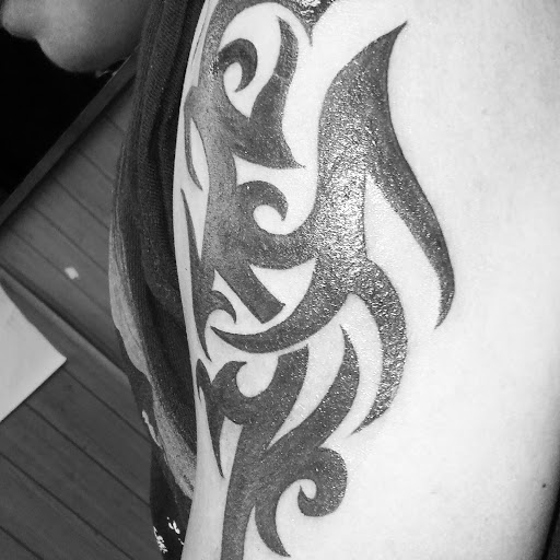 Tattoo Shop «Evolution Tattoo», reviews and photos, 4139 South Blvd, Charlotte, NC 28209, USA