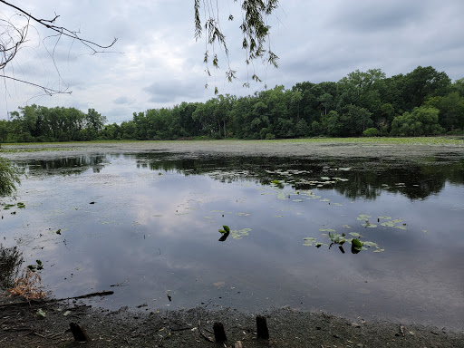 Park «Langton Lake Park», reviews and photos, 1894 County Rd C2 W, Roseville, MN 55113, USA