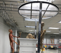 Museum of Human Body photo