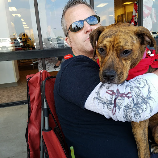 Department Store «Belk», reviews and photos, 520 Lakeland Plaza, Cumming, GA 30040, USA