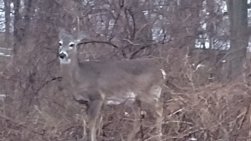 Park «Croton Point Park», reviews and photos, 1 Croton Point Ave, Croton-On-Hudson, NY 10520, USA