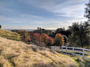 Silent Stay Meditation & Retreat Center - photo 94