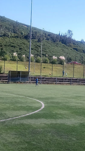 Cancha De Patinaje, Parque Costanera