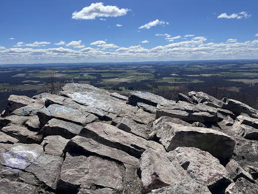 Bake Oven Knob