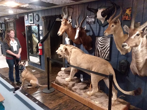 Explore tattoo ideas for women arm, creative tattoo ideas in Hanover, available at Gypsy Skull Tattoo