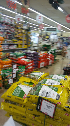 Hardware Store «Great Lakes Ace Hardware», reviews and photos, 132 Merriman Rd, Westland, MI 48186, USA