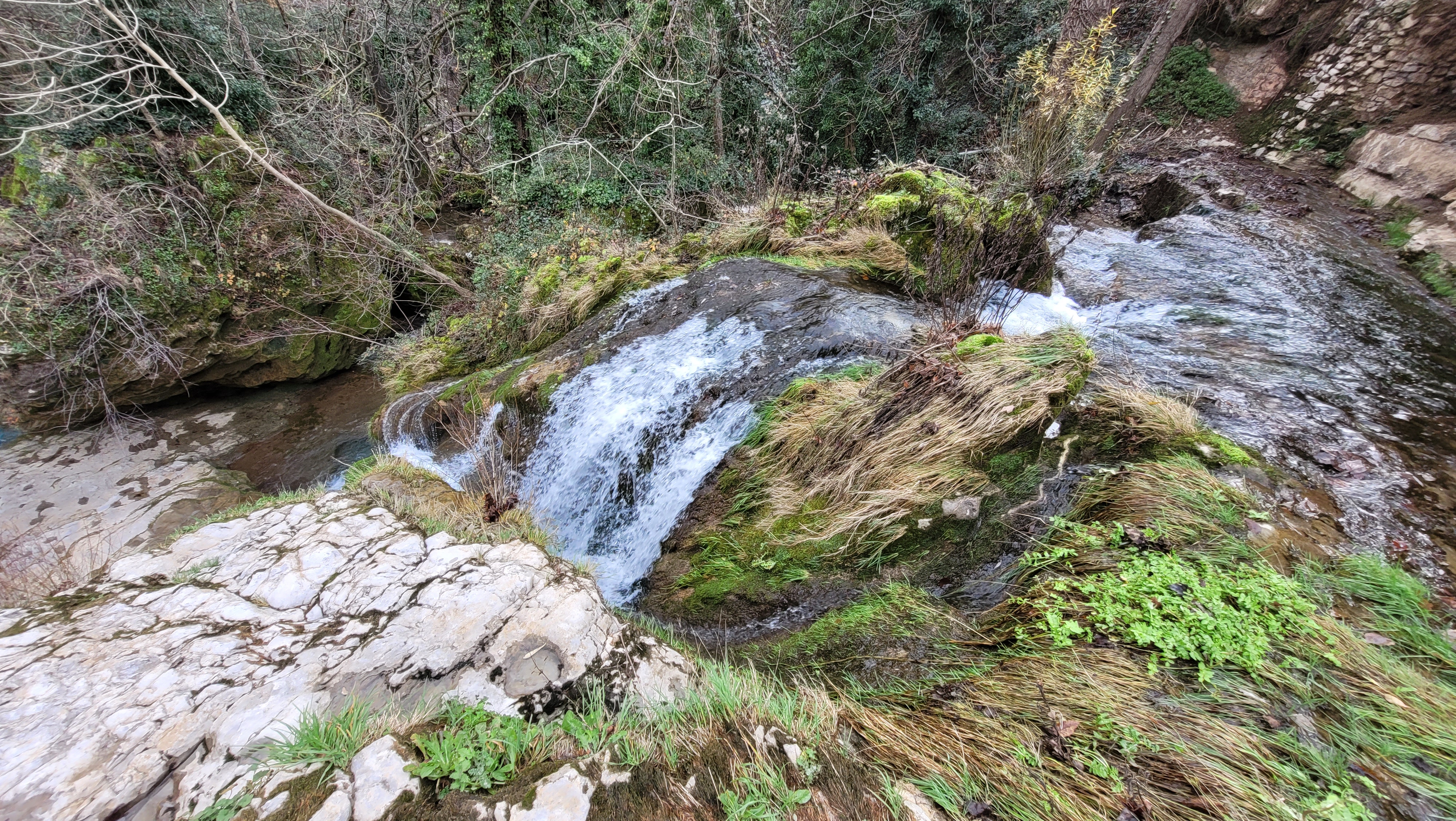 Photo n° 14 de l'avis de Salopette.o fait le 28/12/2022 à 18:35