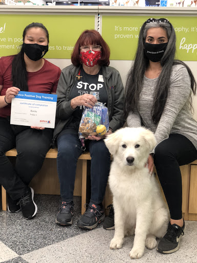 Pet Supply Store «Petco Animal Supplies», reviews and photos, 5215 Lakewood Blvd, Lakewood, CA 90712, USA