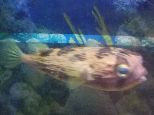 Pet Store «Tanks Pet Supply», reviews and photos, 628 S Main St, Princeton, IL 61356, USA