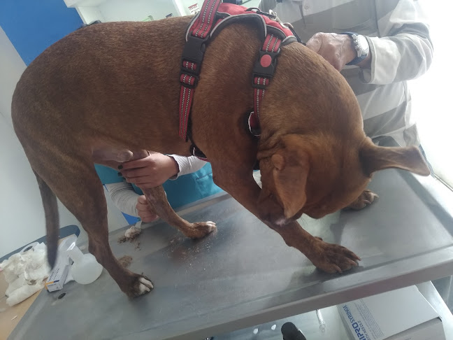 Veterinaria Metrópolis