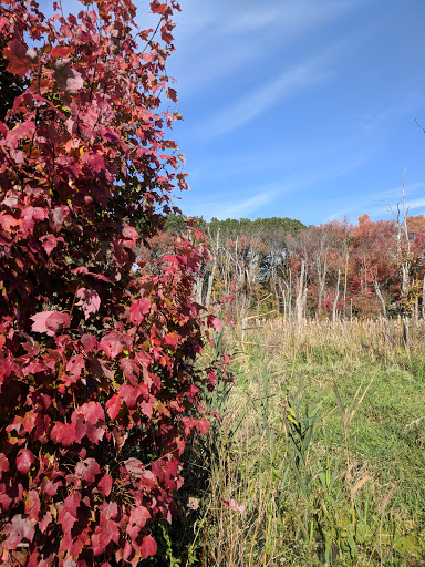 Park «Millennium Park», reviews and photos, 300 Gardner Street, West Roxbury, MA 02132, USA