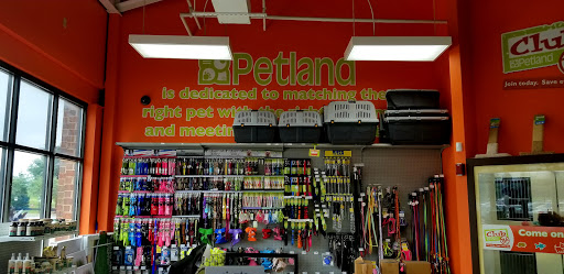 Pet Store «Petland», reviews and photos, 1514 Stonecreek Dr, Pickerington, OH 43147, USA