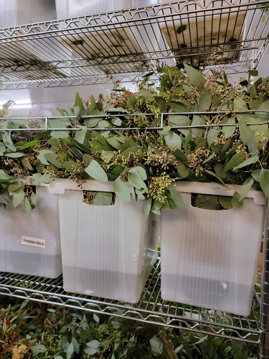 Florist «Botanica Wholesale Florist», reviews and photos, 3208 International Pl, Irving, TX 75062, USA