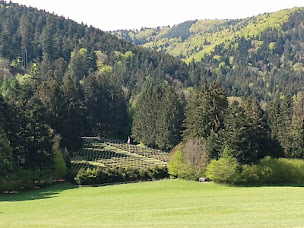Photo n°15 de Nécropole Nationale du Chêne Millet à Metzeral ()
