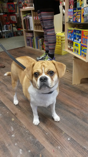 Toy Store «Shananigans Toy Shop», reviews and photos, 5004 Lawndale Ave, Baltimore, MD 21210, USA