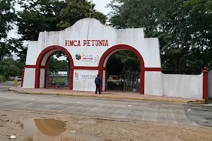 Feria Ganadera Park image