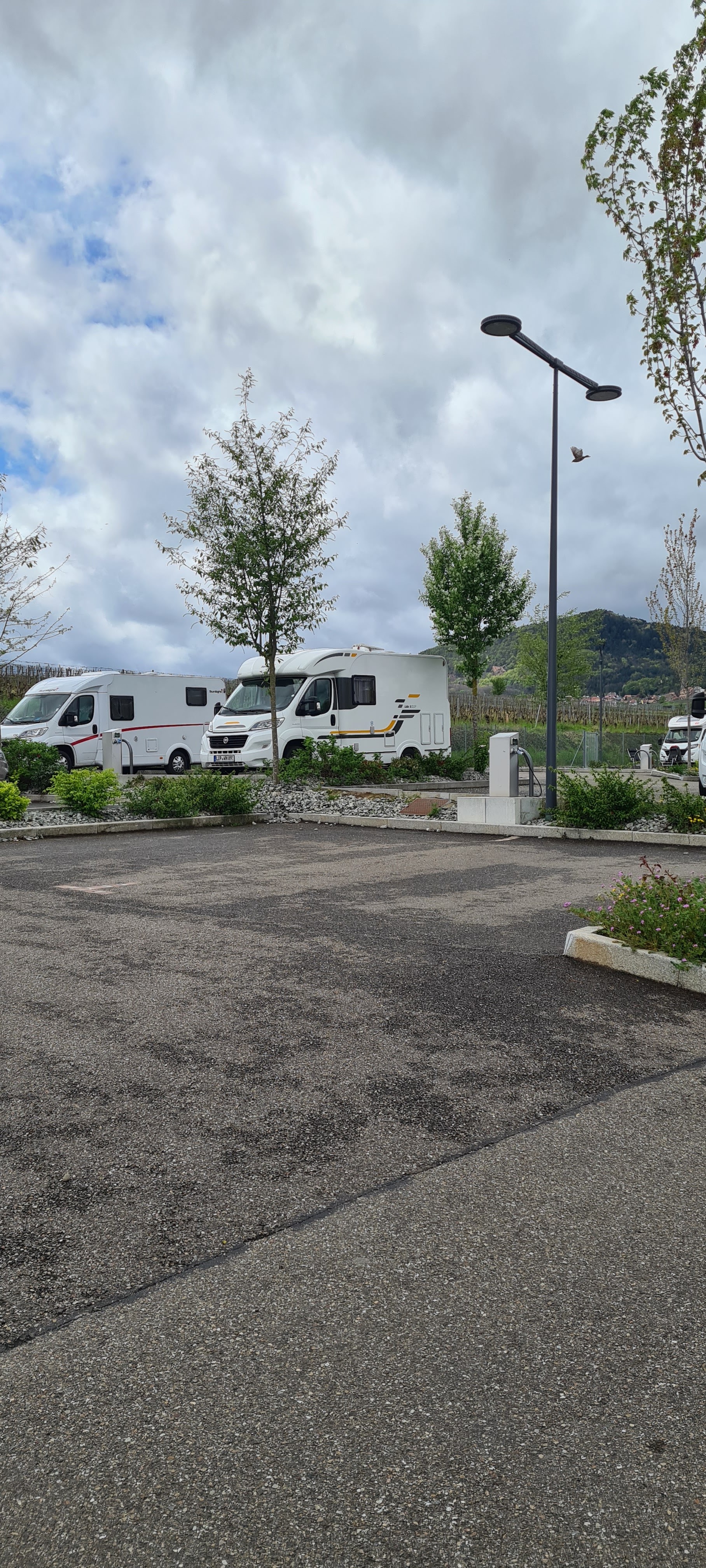 Photo n° 2 de l'avis de Helga.o fait le 28/04/2023 à 13:03
