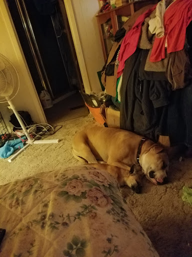 Pet Supply Store «Pet Supplies Plus - Stephenville», reviews and photos, 106 Christy Plaza, Stephenville, TX 76401, USA