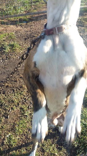 ΚΑΣΣΗΣ, Μ., - Ι. ΜΠΕΚΑΣ Ο.Ε. "ΜΗΧΑΝΟΛΟΓΙΚΗ"