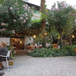 Photo n°7 de l'avis de Daniela.r fait le 12/07/2023 à 20:39 sur le  Ristorante Bar Scovolo à San Felice del Benaco