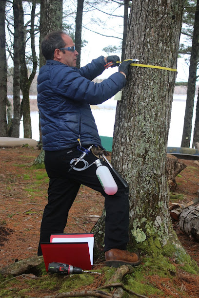 Nova Scotia Tree Preservation Company