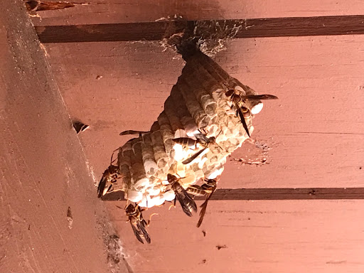 Roofing Contractor «ANC Roofing, Inc.», reviews and photos, 720 Business Park Blvd #10, Winter Garden, FL 34787, USA