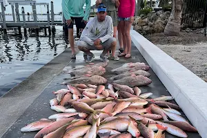 ReelFishNSea Deep Sea Fishing Charters image