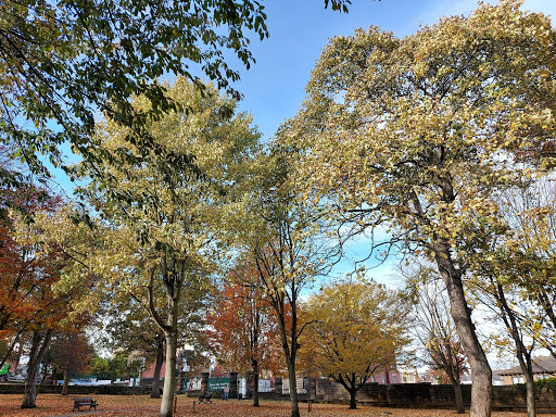 Churchfields Peace Gardens