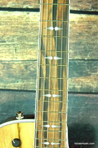 Guitar Store «Tobias Music», reviews and photos, 5013 Fairview Ave # 2, Downers Grove, IL 60515, USA