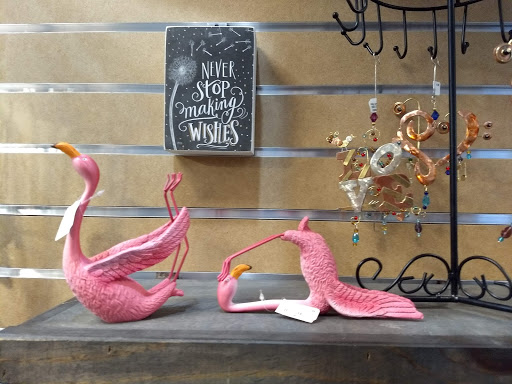 Gift Shop «Sunny Days Of Ithaca», reviews and photos, 123 S Cayuga St, Ithaca, NY 14850, USA