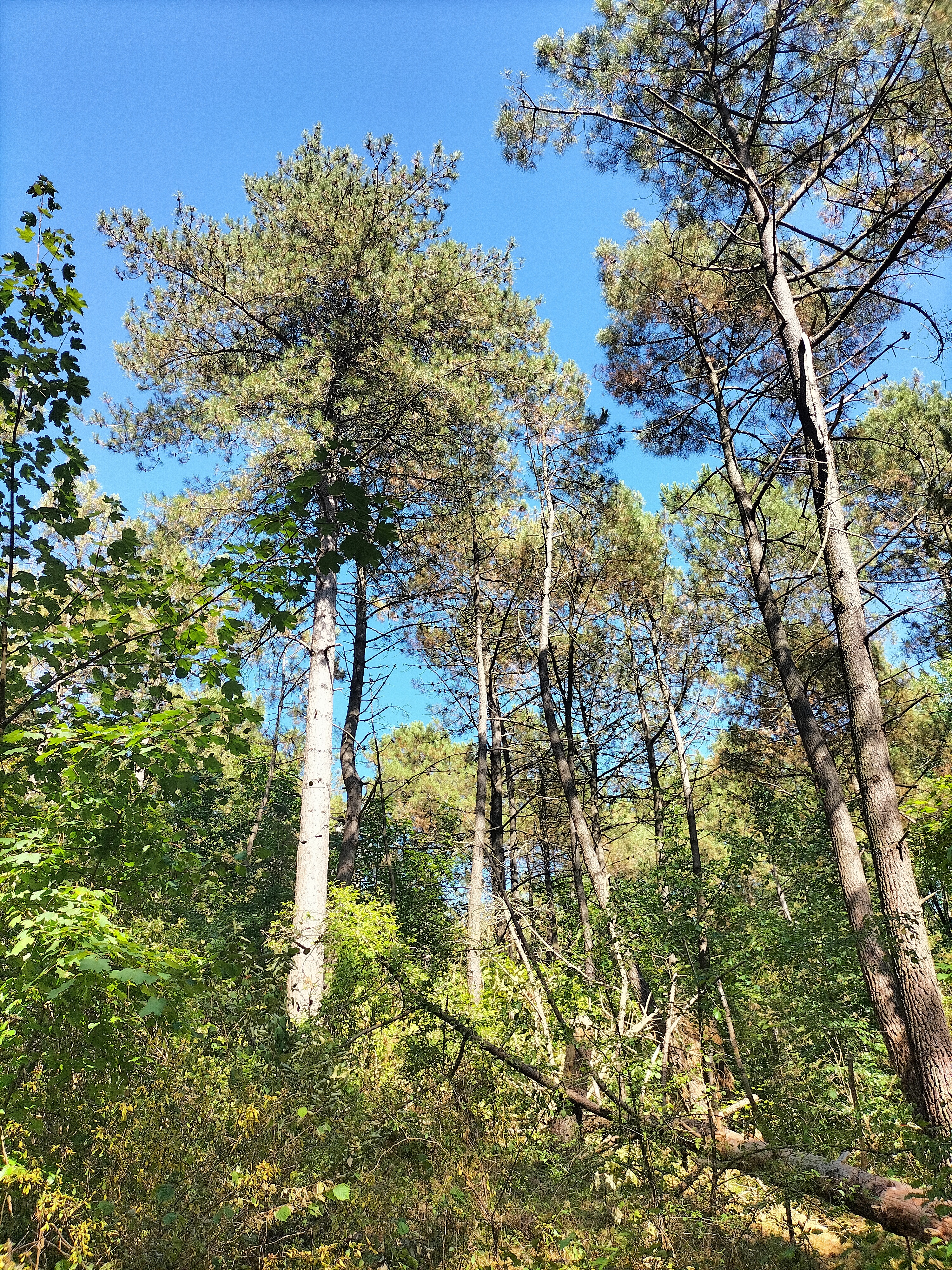 Photo n° 3 de l'avis de Magalie.u fait le 30/07/2022 à 06:08