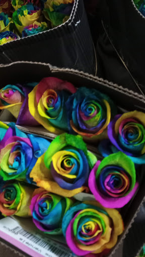 Florist «The Flower Place», reviews and photos, 860 NE 79th St, Miami, FL 33138, USA