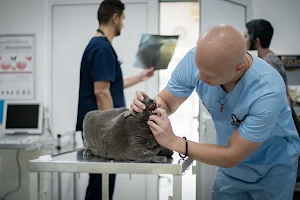 Pet Clinic image