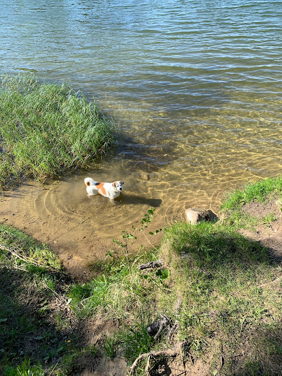 Šunų paplūdimys