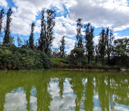 Ajolotario Parque Tezozómoc photo