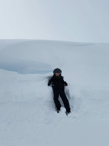 Insurance Agency «American Family Insurance - Timothy J Rosendahl Insurance Agenc», reviews and photos